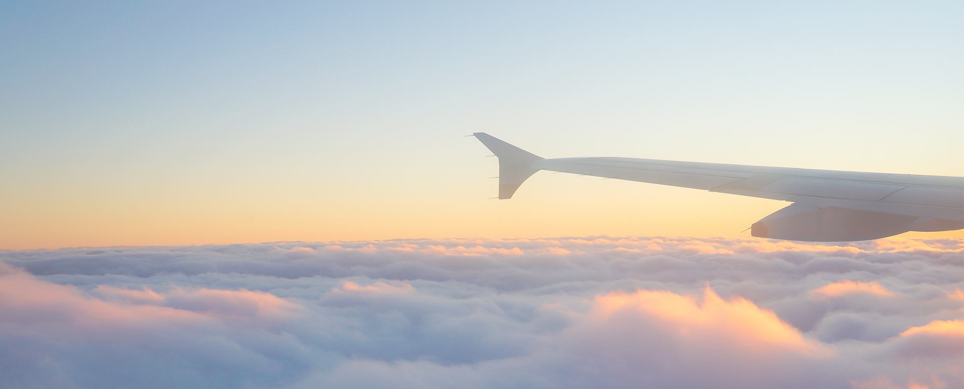 True Wholesale Experts 